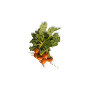 Baby Beetroot