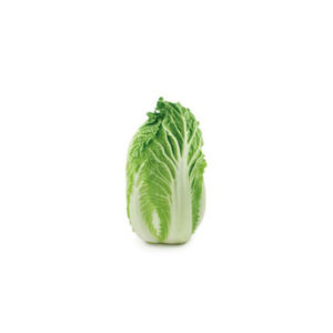 Chinese Cabbage