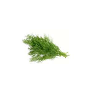Dill
