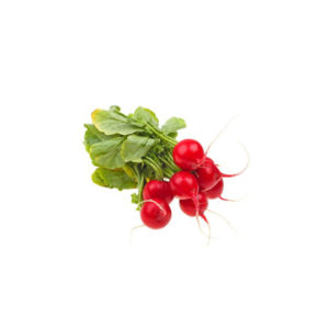 Red Radish