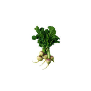 Turnip