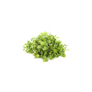 Watercress