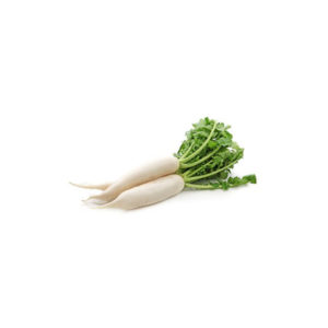 White Radish