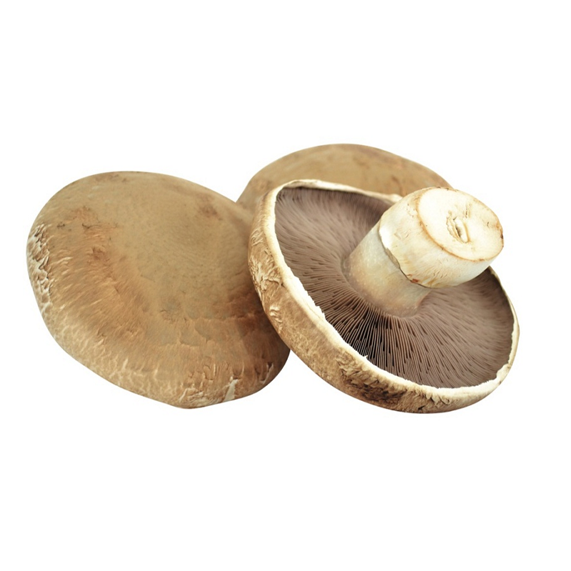 Fresh Portobello Mushrooms – OrganicJiyo