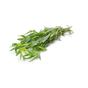 Tarragon